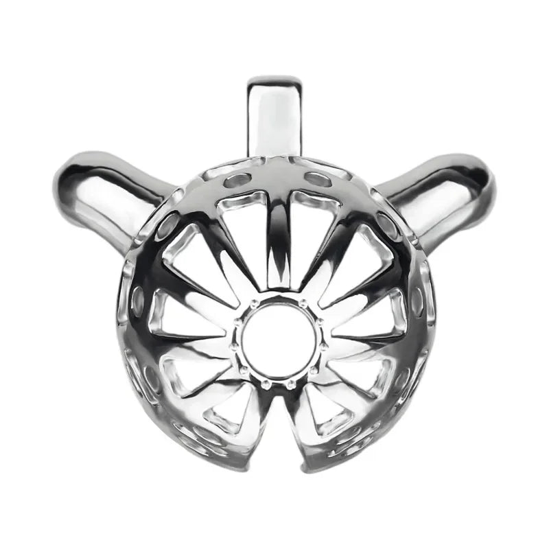 Removable PA Chastity Cage-5