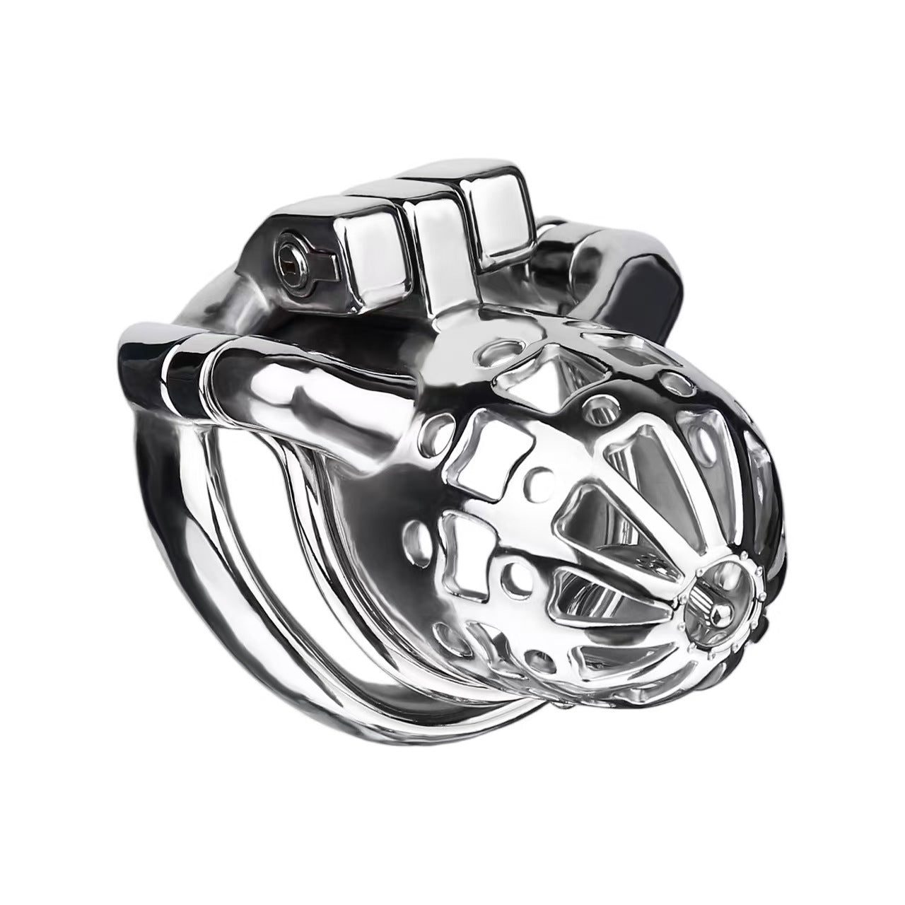 Removable PA Chastity Cage- -10