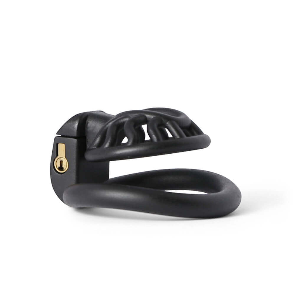 3D Printing Sun Spider Chastity Device