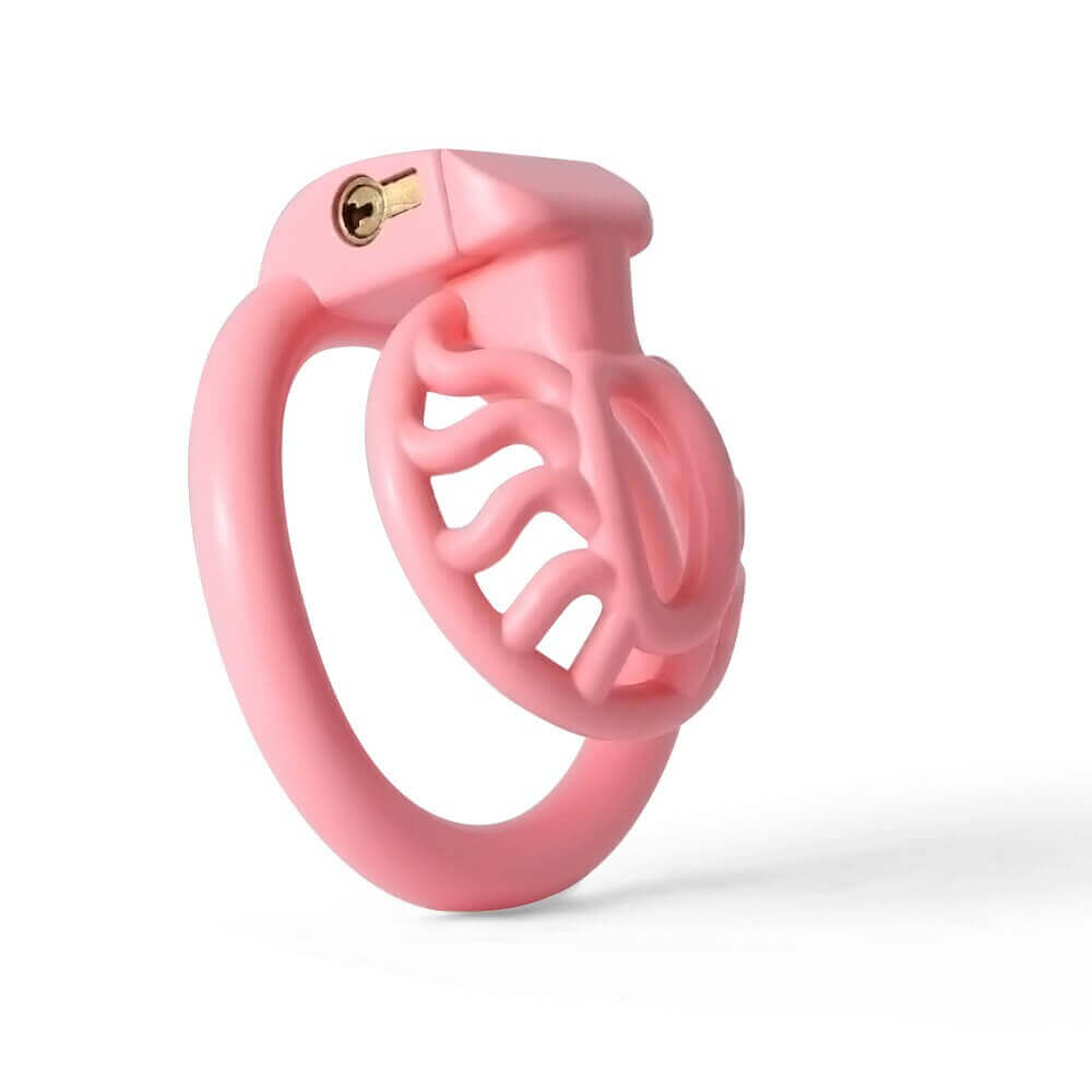 3D Printing Sun Spider Chastity Device