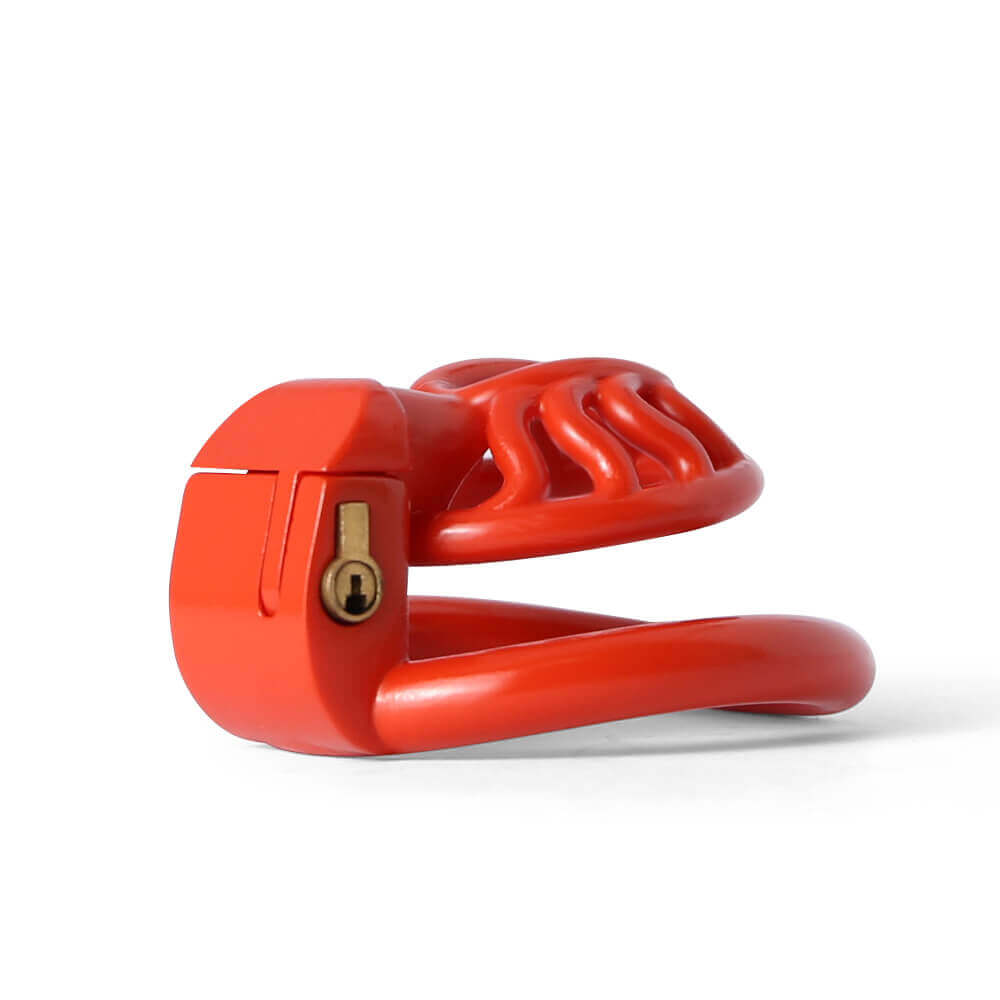 3D Printing Sun Spider Chastity Device