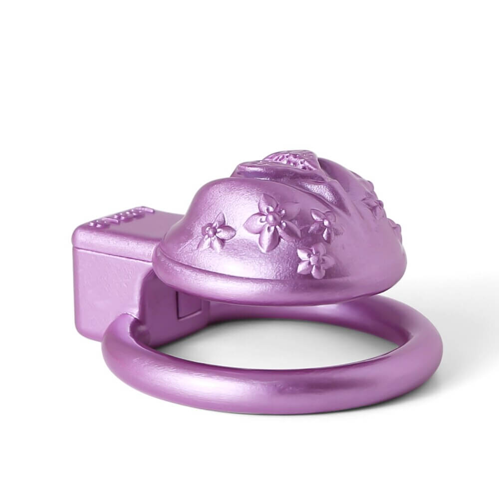Sissy 3D Printed BDSM Chastity Device