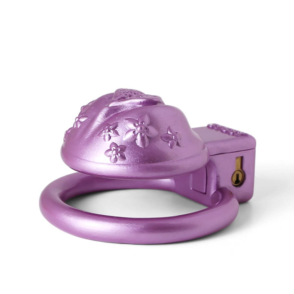 Sissy 3D Printed BDSM Chastity Device