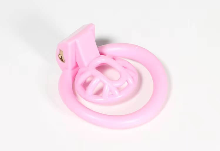 Cloud Whale Positive and Negative Chastity Cage