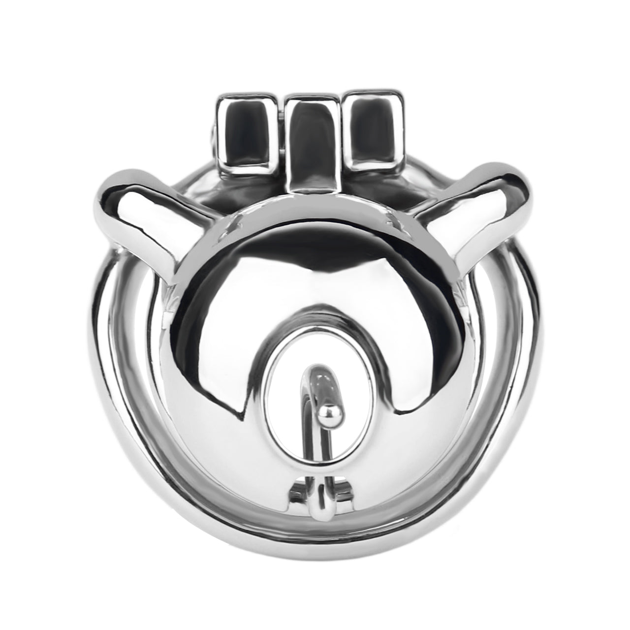 Dolphin Chastity Cage With PA Piercing -6