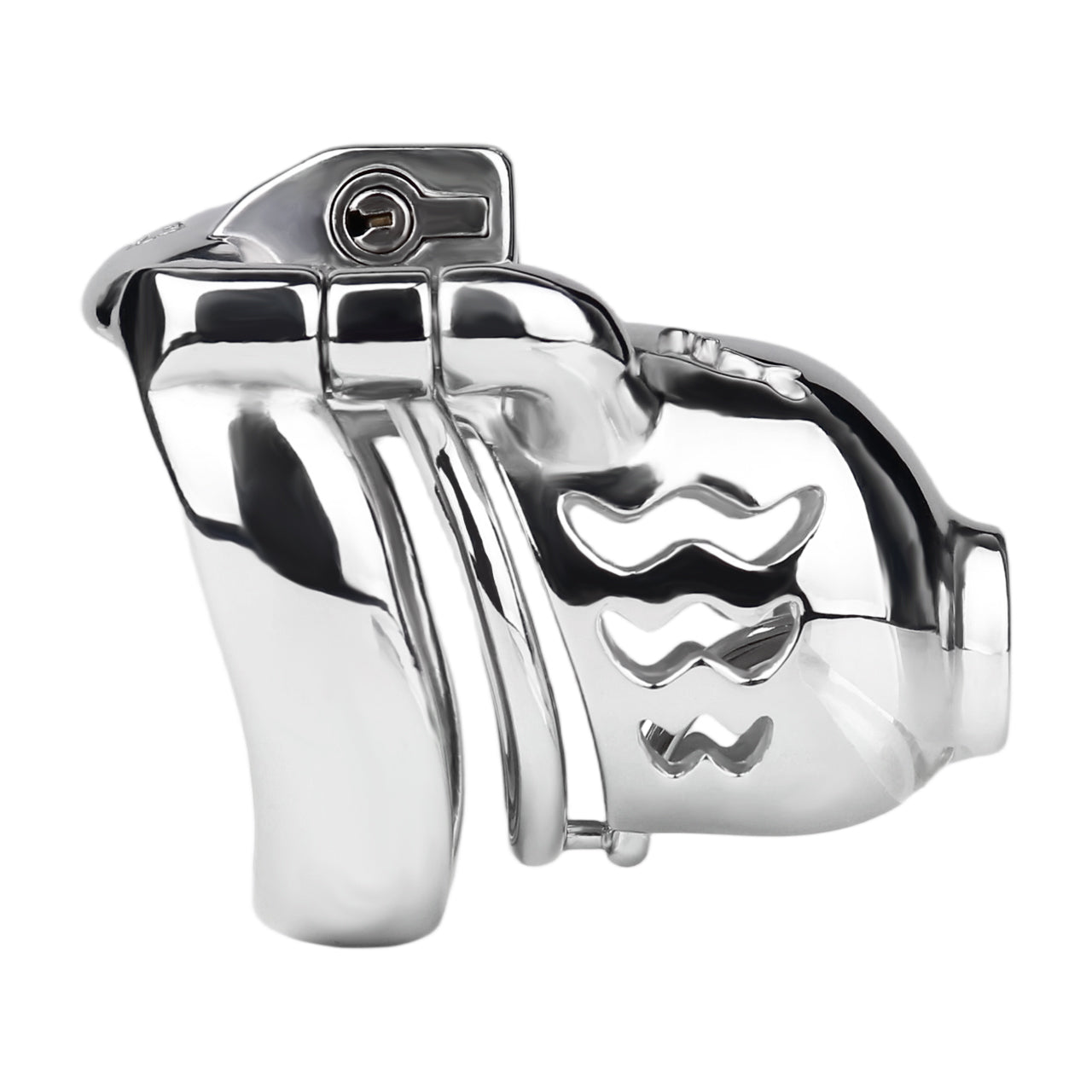 Dolphin Chastity Cage With PA Piercing 12