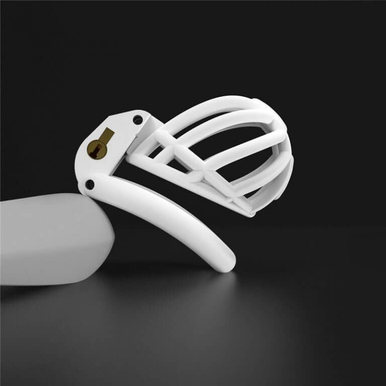 3D Printing Chastity Cage With 4 Rings