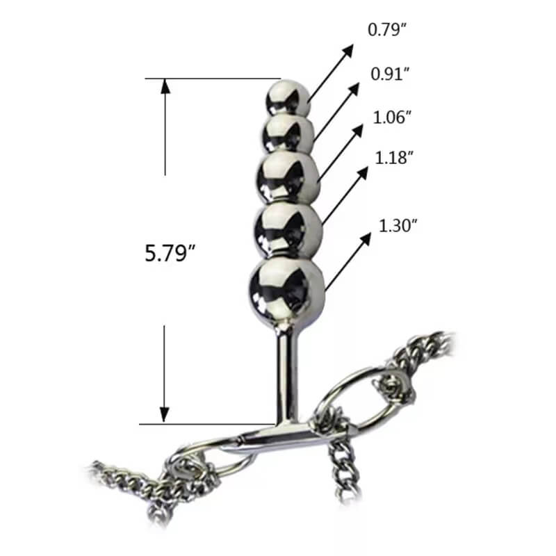 New Anus Female Stainless Steel Chastity Belt