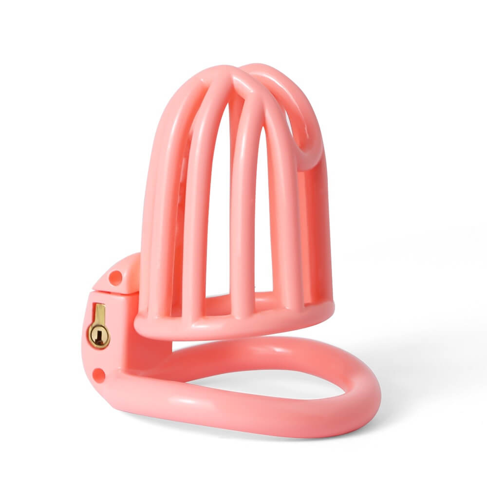 Slave Prison 3D Printed Lightweight Chastity Device