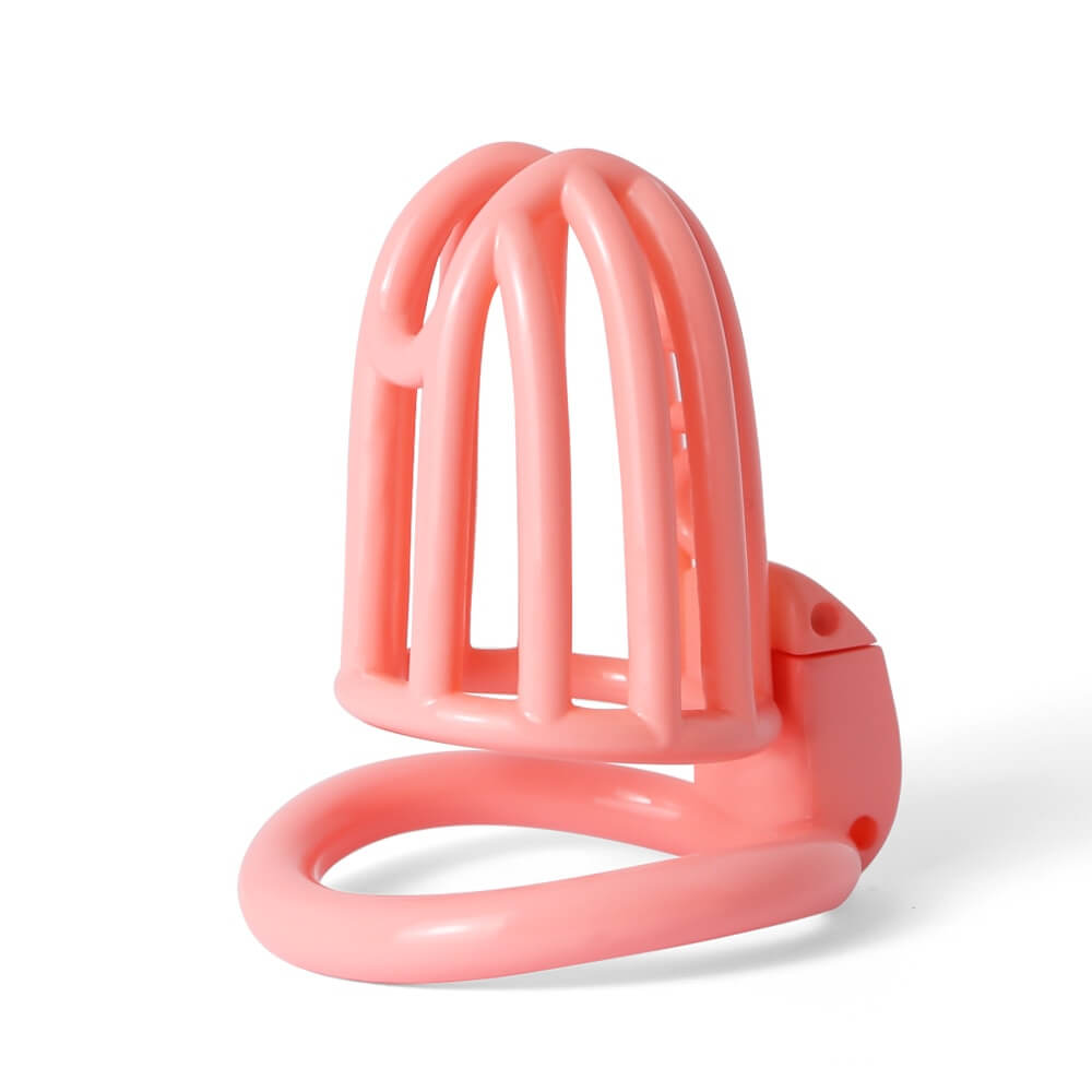Slave Prison 3D Printed Lightweight Chastity Device