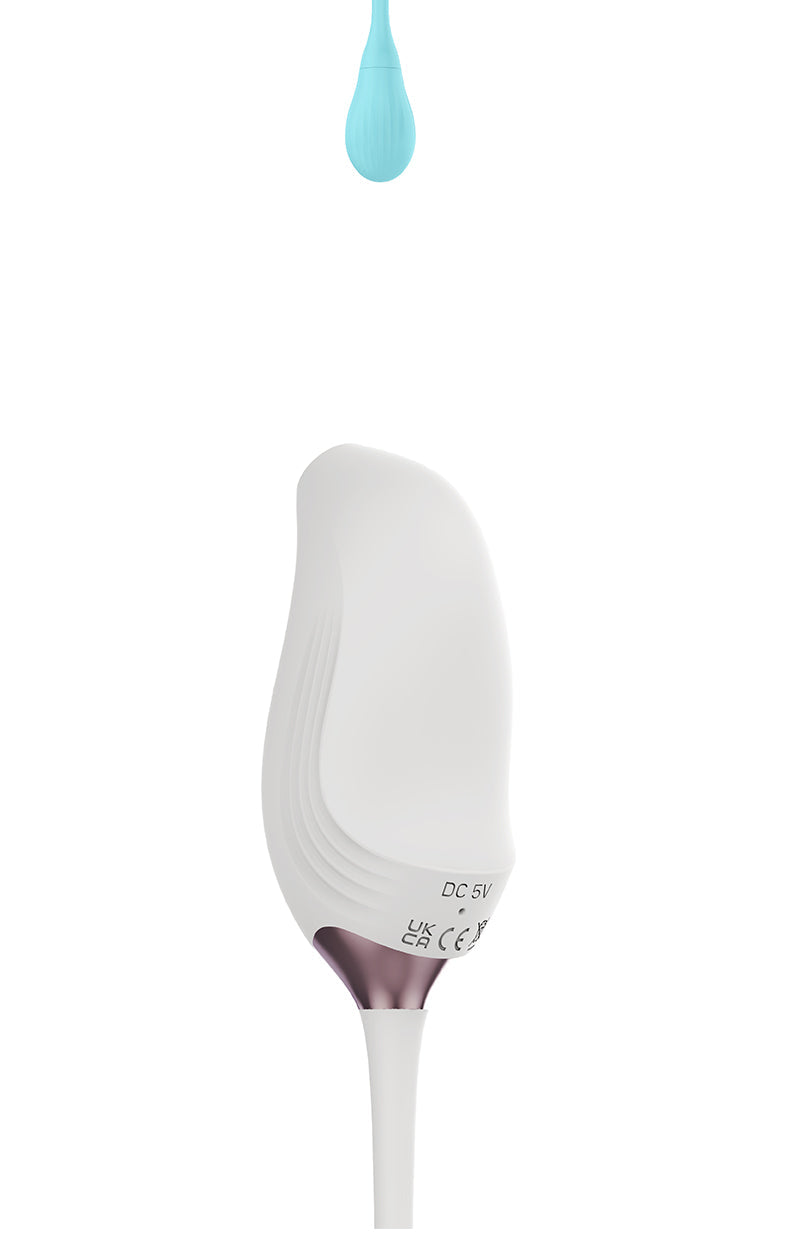 dildo vibrator App Controlled Pulse Bird Female Sucking Massager - 19