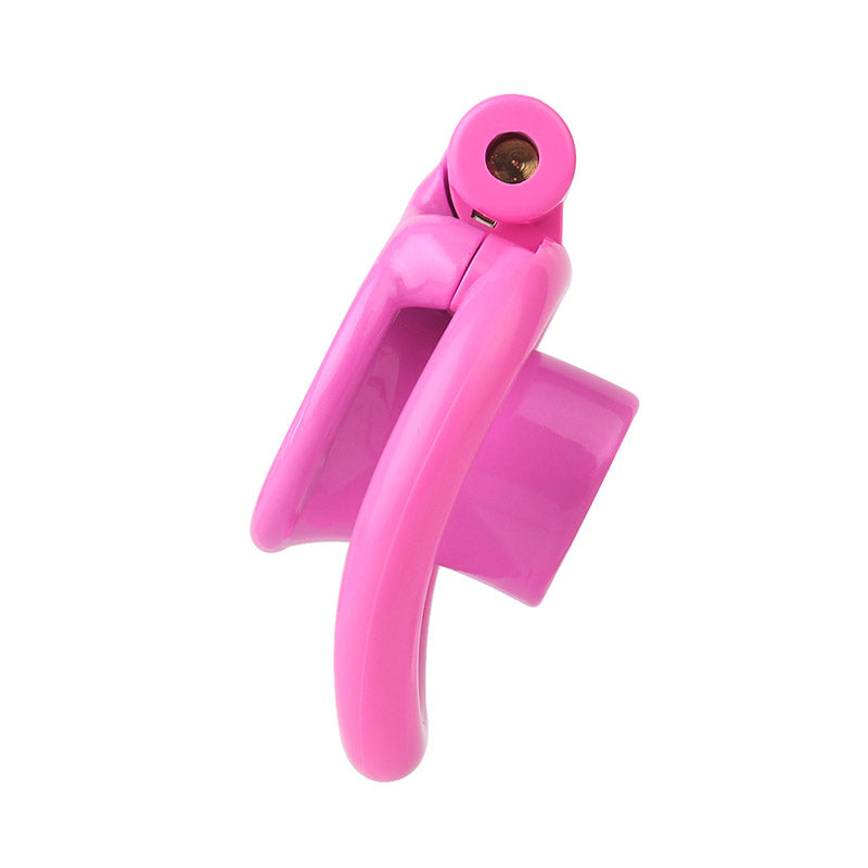 Inverted Sissy Cock Cage -2