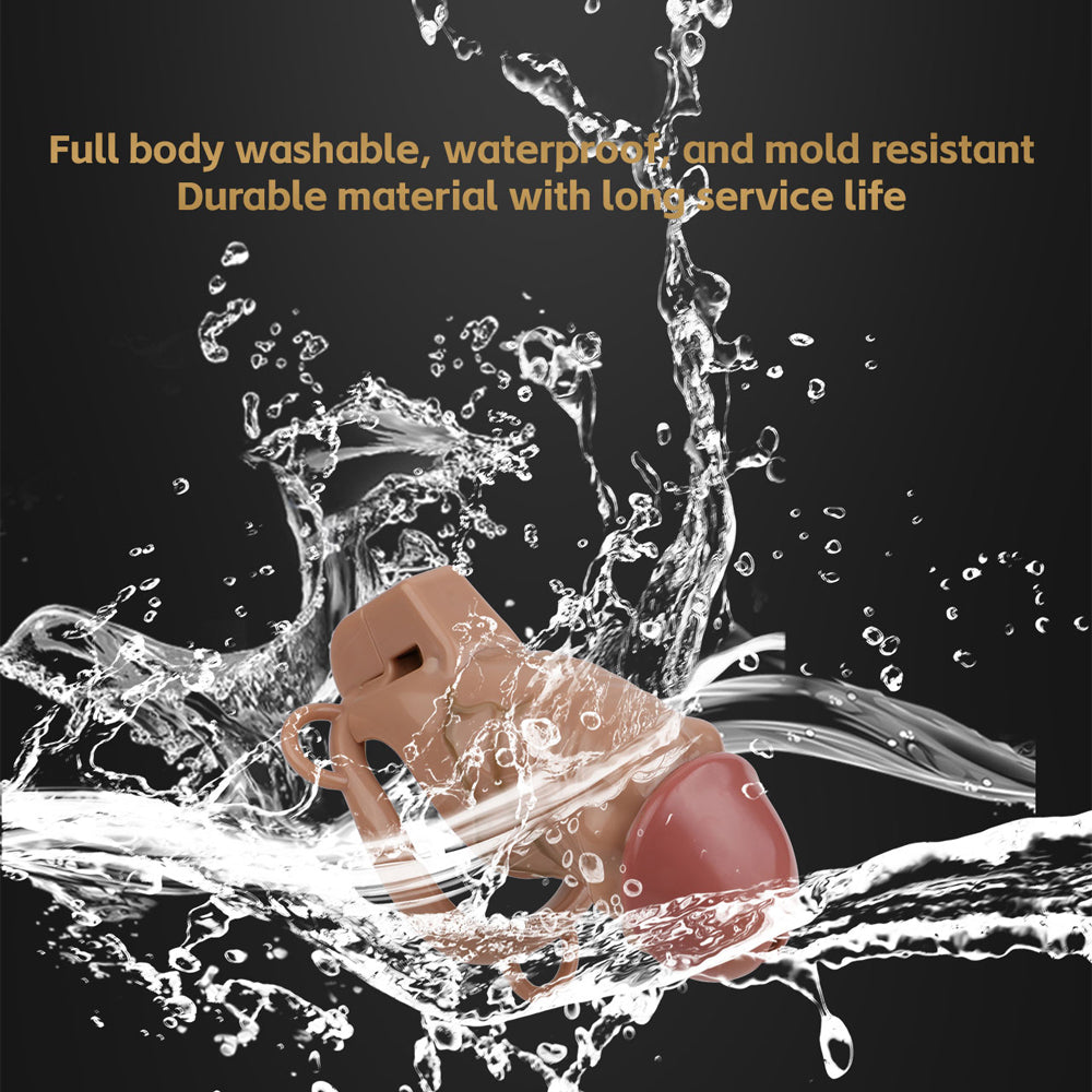 ABS Resin Simulation Penis Chastity Lock