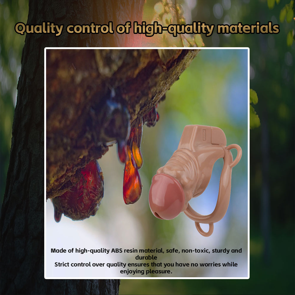 ABS Resin Simulation Penis Chastity Lock