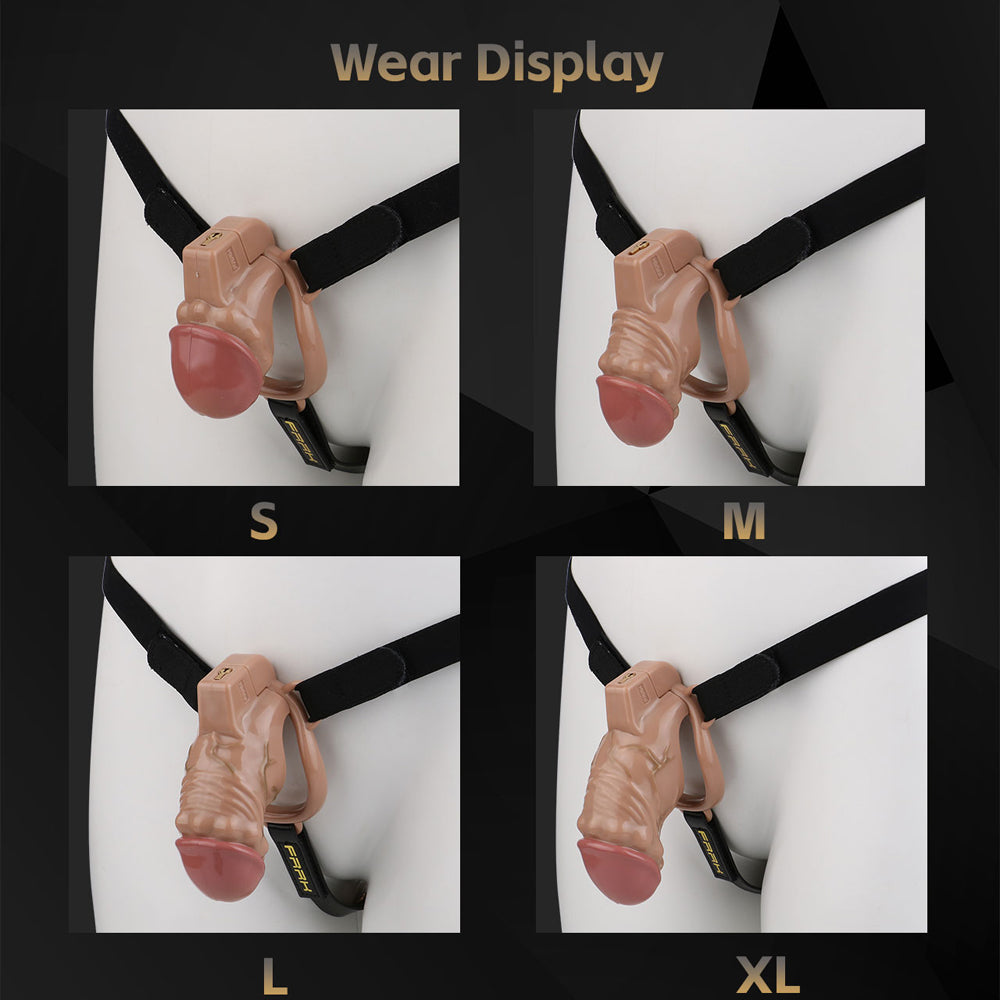 ABS Resin Simulation Penis Chastity Lock