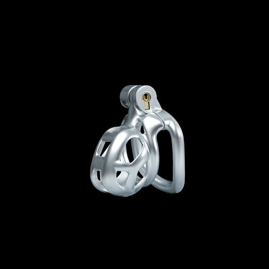 Silver Cobra Chastity Cage Kit