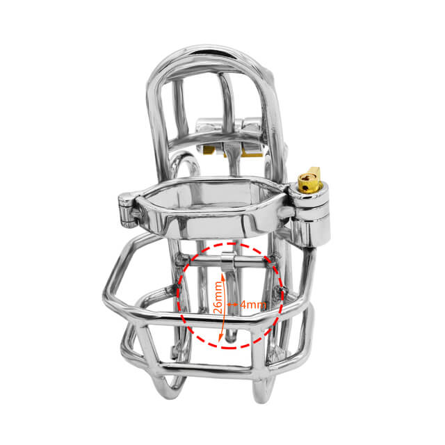 Stainless Steel Detachable PA Puncture Chastity Cage