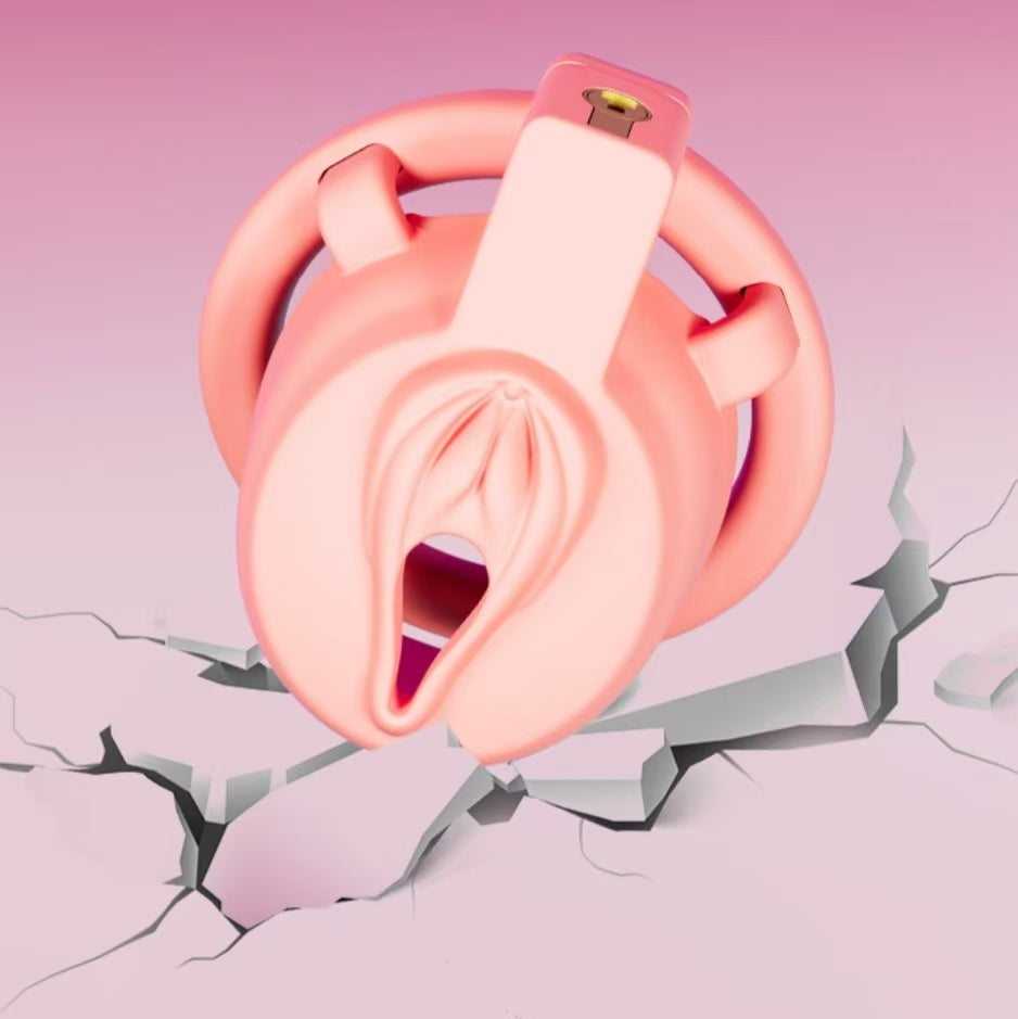 Sweet Pussy Chastity Cage