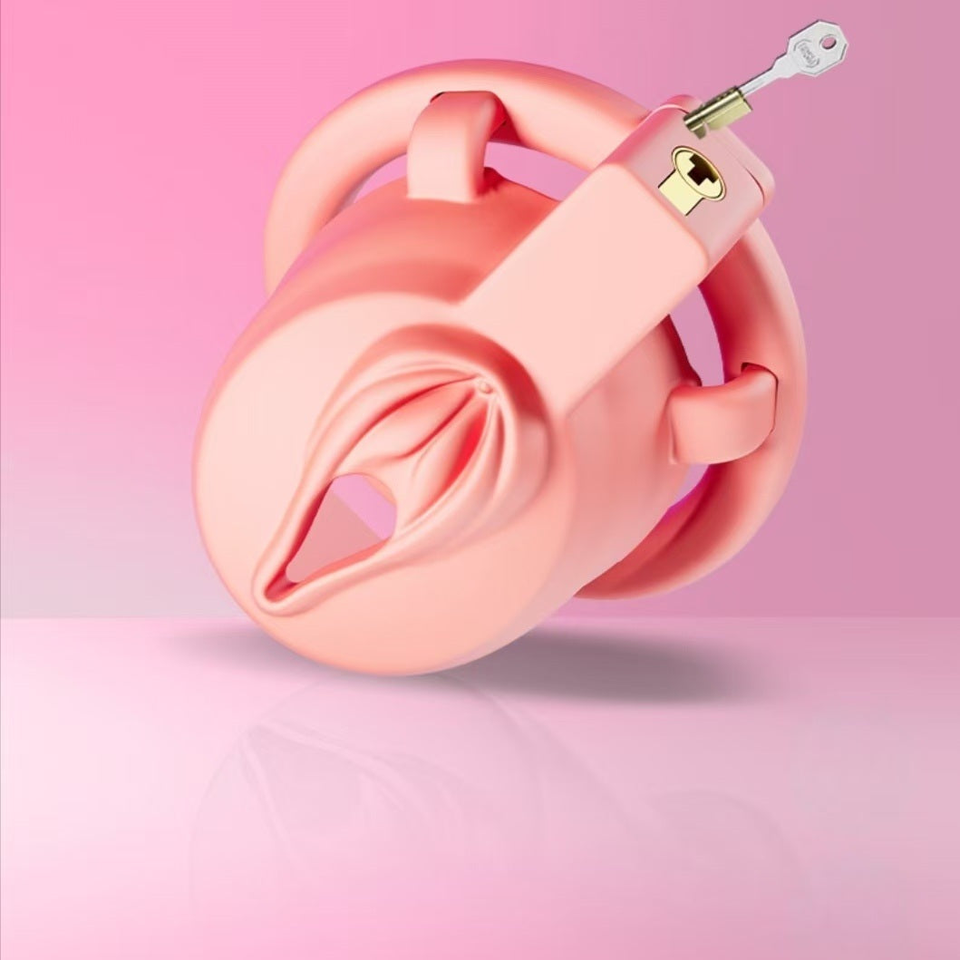 Sweet Pussy Chastity Cage