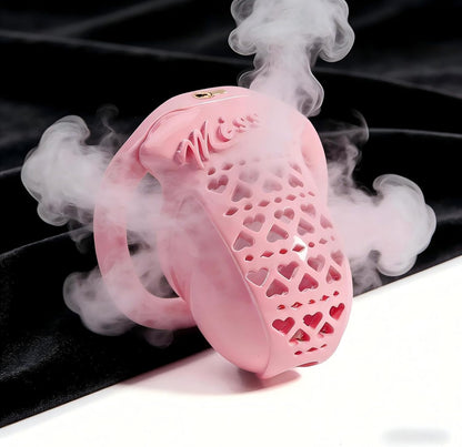 New Resin 3D Chastity Cage