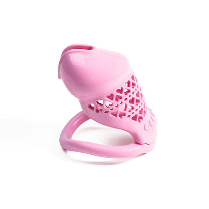 First Cage 3D Resin Chastity Cage