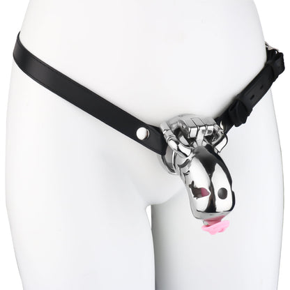 Dolphin Steel Chastity Cage with Anti-ring Removable - 23