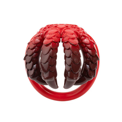 Dragon Claw Four-Color Chastity Cage