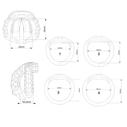Dragon Claw Four-Color Chastity Cage