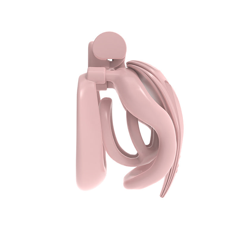 Twin-Heart Resin Chastity Cage