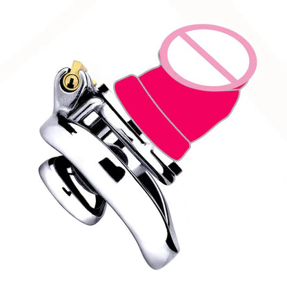 Inverted DIY Inverted Chastity Cage