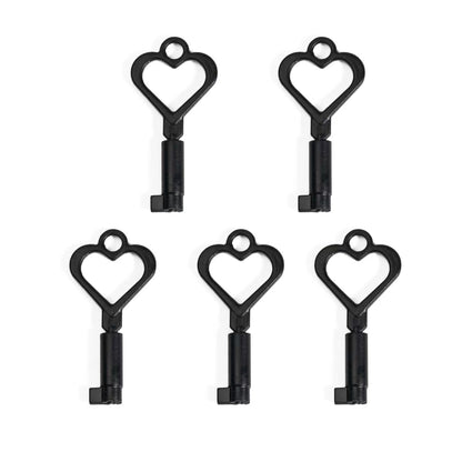 Plastic Keys For Chastity Cage -  Big Lock Version 14