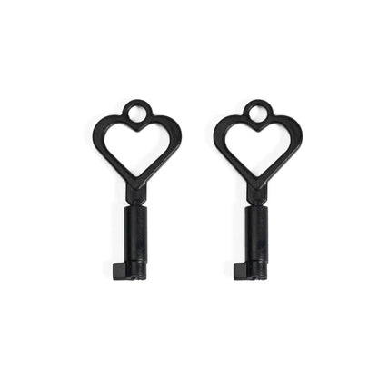 Plastic Keys For Chastity Cage -  Big Lock Version 12