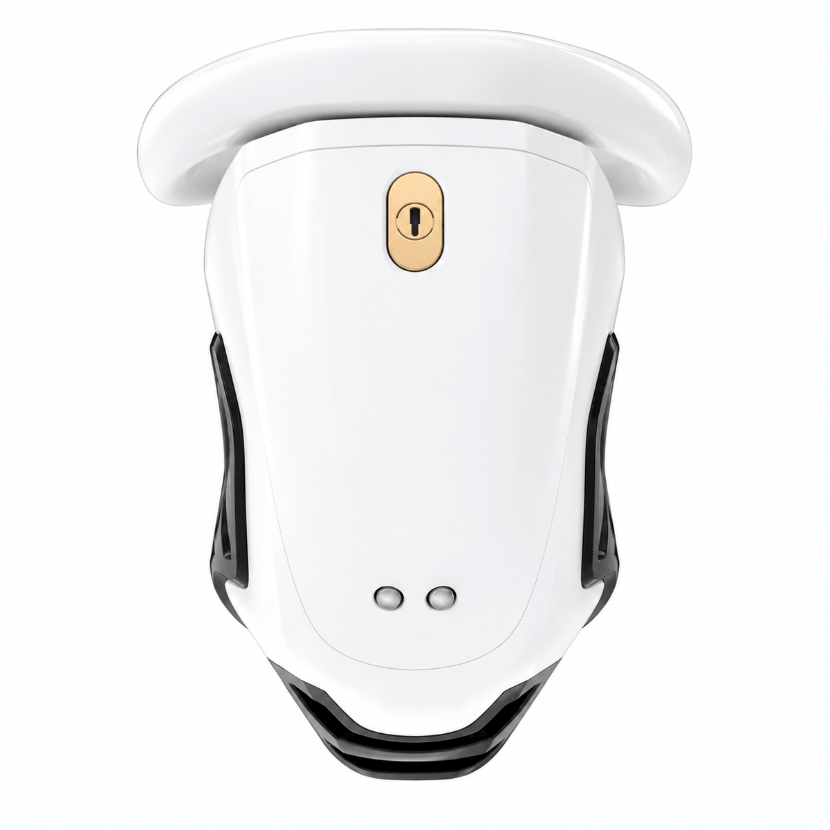 QIUI ThrillCage App-Controlled Vibrating Chastity Cage