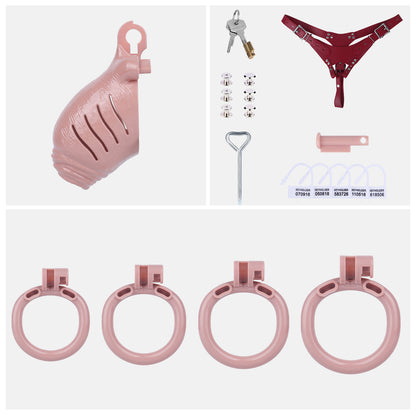 Lifelike Resin Chastity Cage