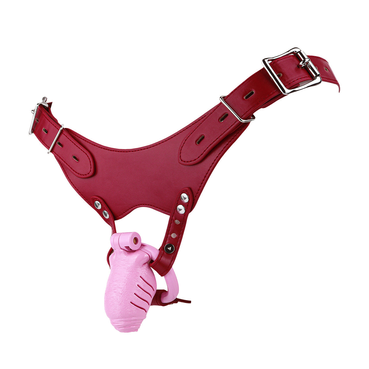 Lifelike Resin Chastity Cage