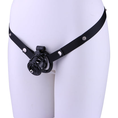 Sissy Pussy Chastity Cage - 17